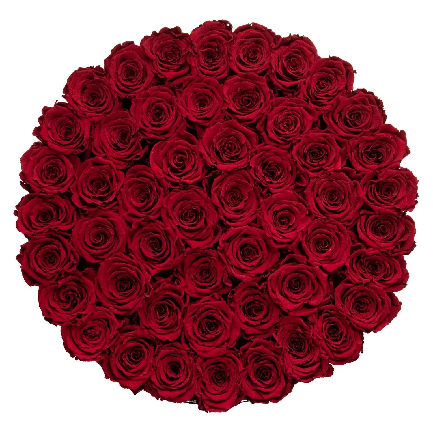 60 Red Roses Eternal Roses | Long Lasting Red Roses | 50-60 Roses | Tusen rosor ...