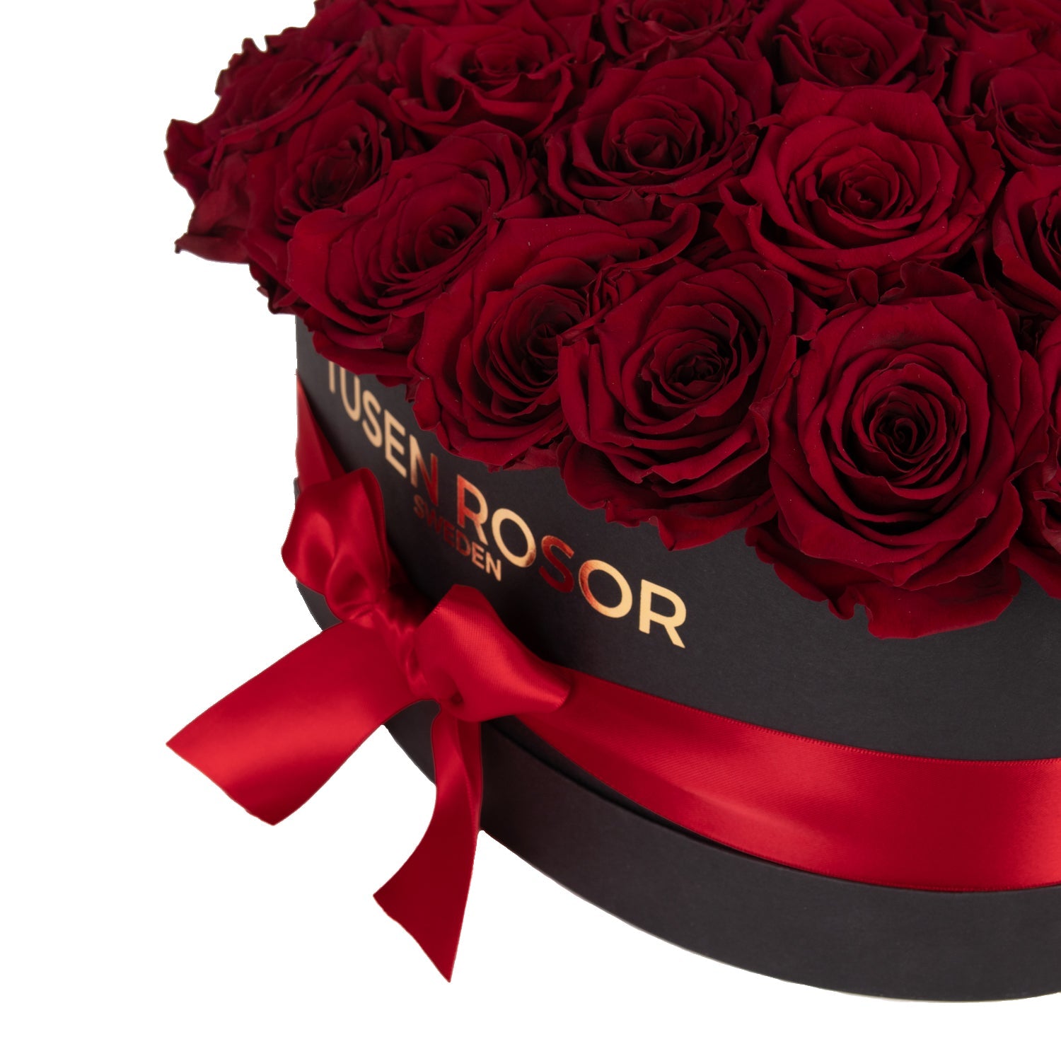 Preserved Roses That Last A Year in A Round Box Valentines Day Rose Box  Forever Flowers Roses Infinity Eternal Flower 