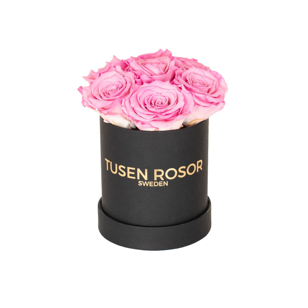 Rosa rosor | Basic dome Tusen rosor