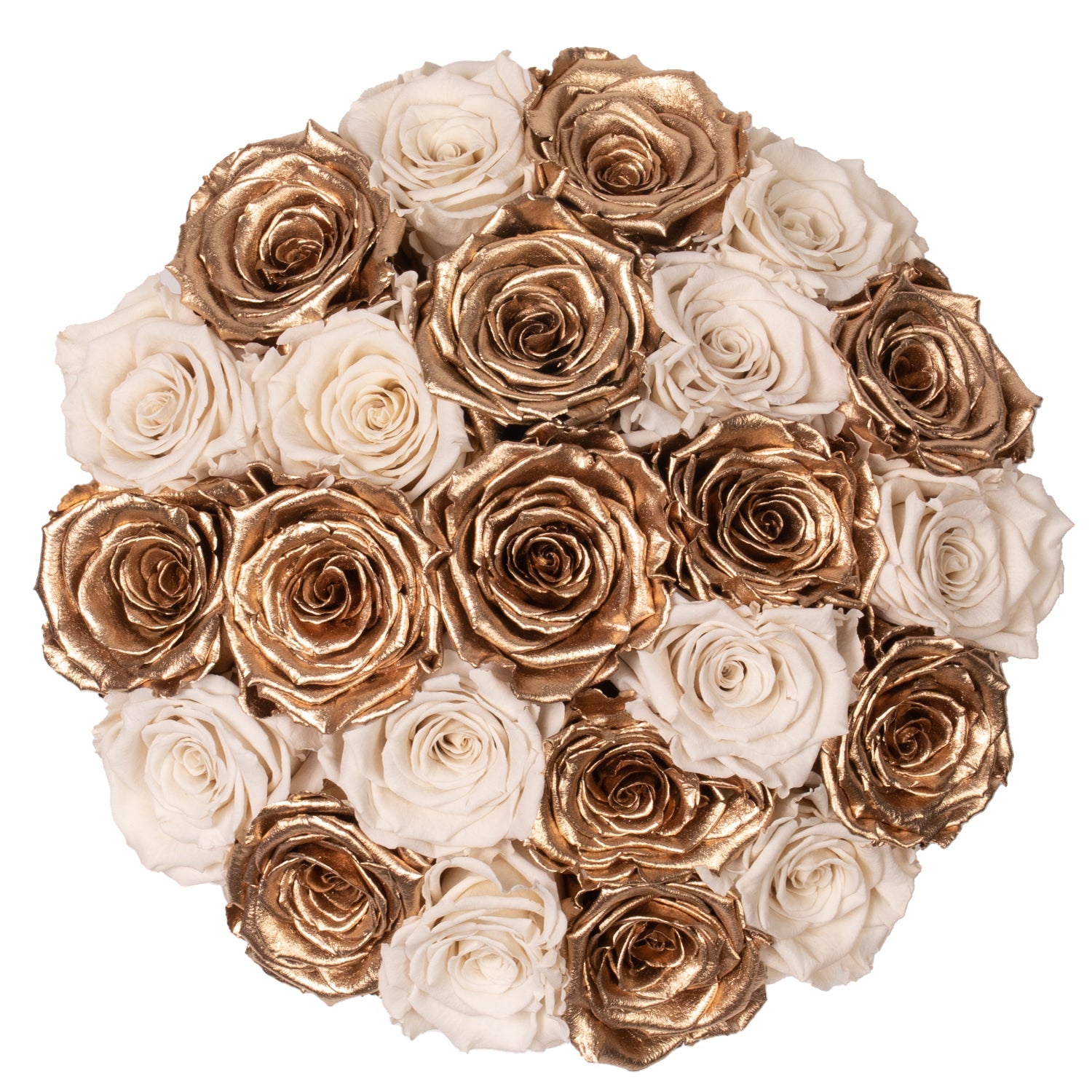 Dome White Roses Eternal Roses | Long Lasting White & Golden Roses | 20-23 Roses | Tusen ...